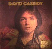 Front cover of the Gold Disk LP.