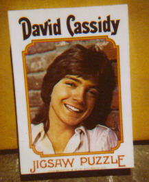 David Cassidy Jigsaw Puzzle