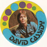 David Cassidy Fabric Sticker
