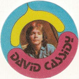 David Cassidy Fabric Sticker