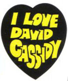 "I Love David Cassidy"