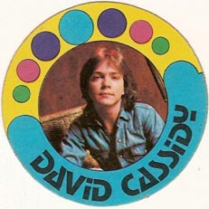 David Cassidy sticker