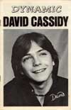 Dynamic David Cassidy