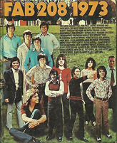Fab 208 1973