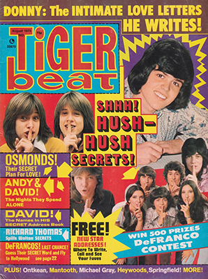 Tiger Beat August 1973