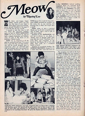 Tiger Beat December 1973