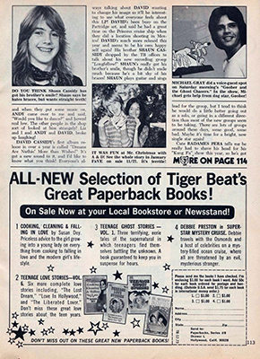 Tiger Beat December 1973