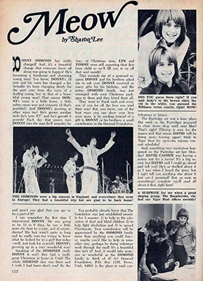 Tiger Beat February 1973