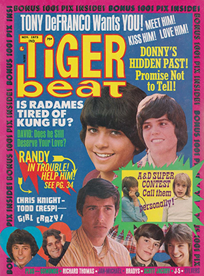 Tiger Beat November 1973