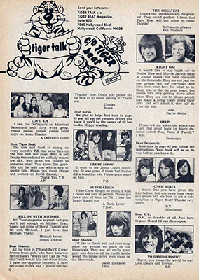 Tiger Beat November 1973