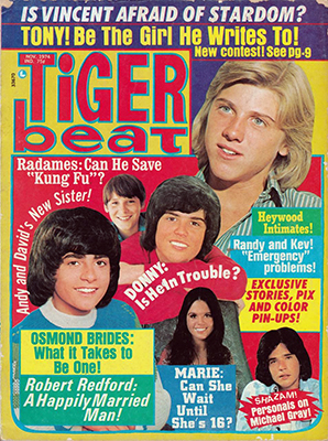 Tiger Beat November 1974