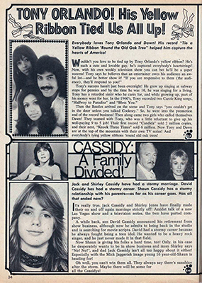 Tiger Beat March 1975