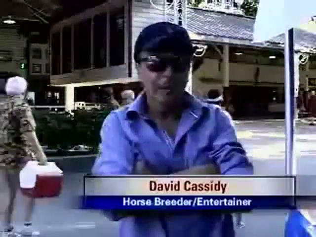 David Cassidy at Saratoga Race Course