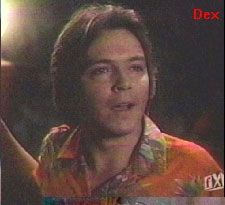 David in Fantasy Island