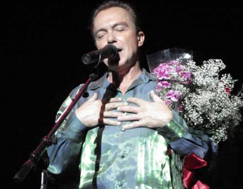 The flowers say it all!