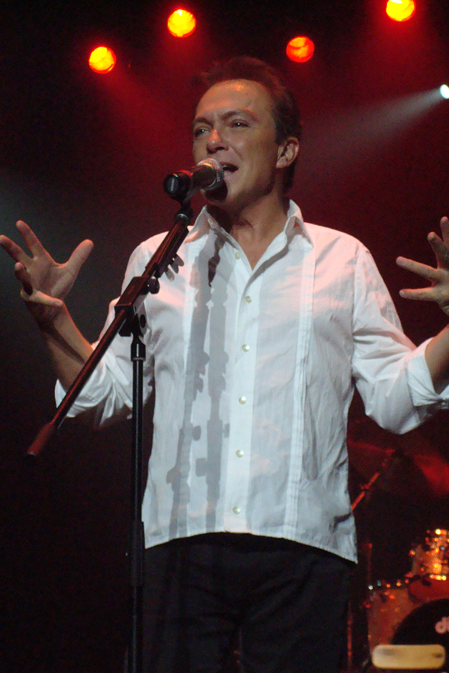 David Cassidy, Manchester UK 2008