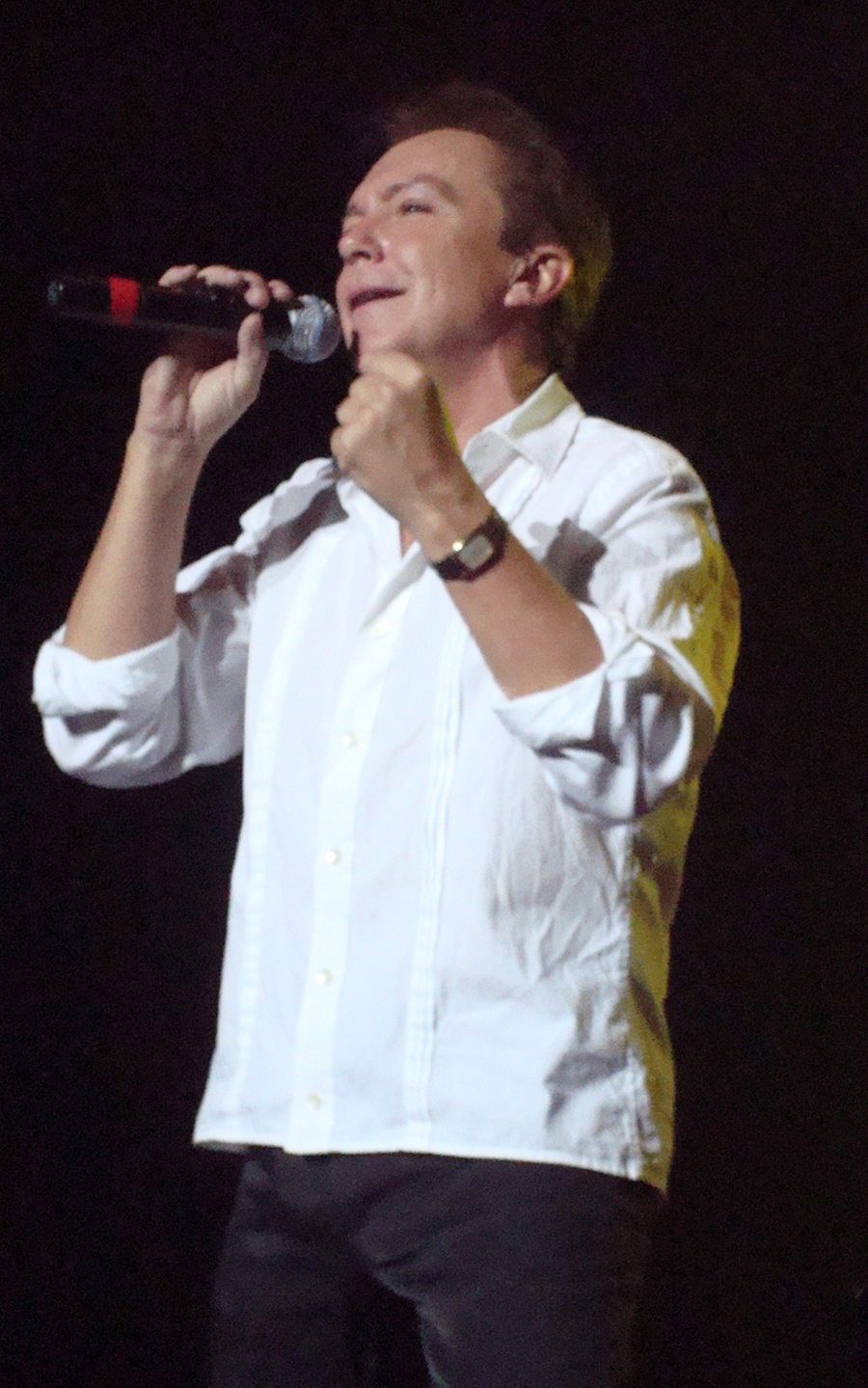 David Cassidy, Manchester UK 2008