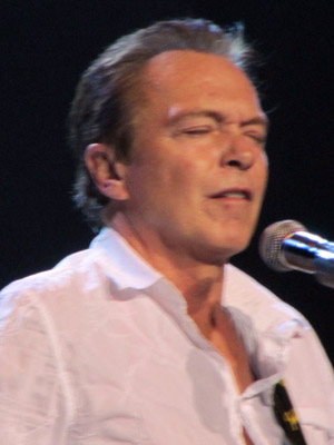 David Cassidy 