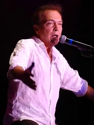 David Cassidy