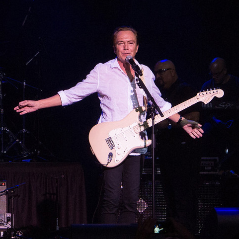 David Cassidy August 24, 2012