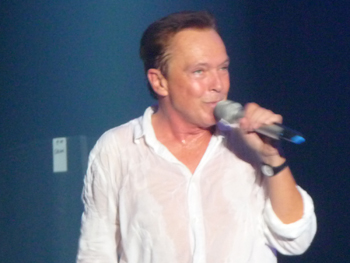 David Cassidy November 11, 2012