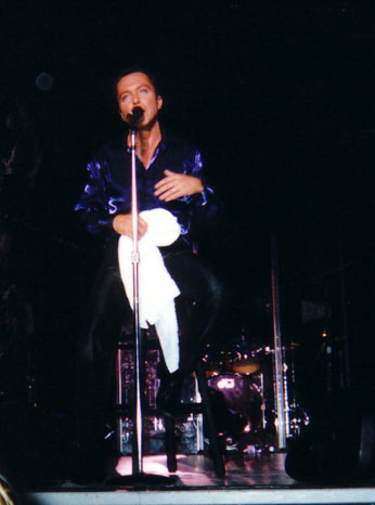 David at the Greek Theatre, 2001