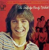 Partridge Family single