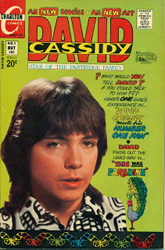 David Cassidy Comic number 3