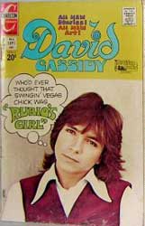 David Cassidy Comic number 5