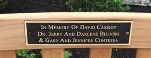 Memorial Bench