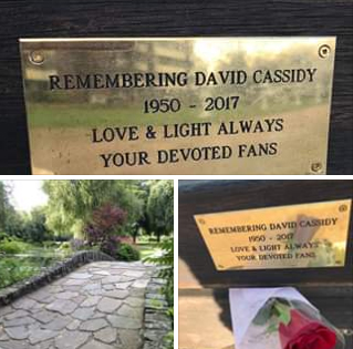 Memorial Bench