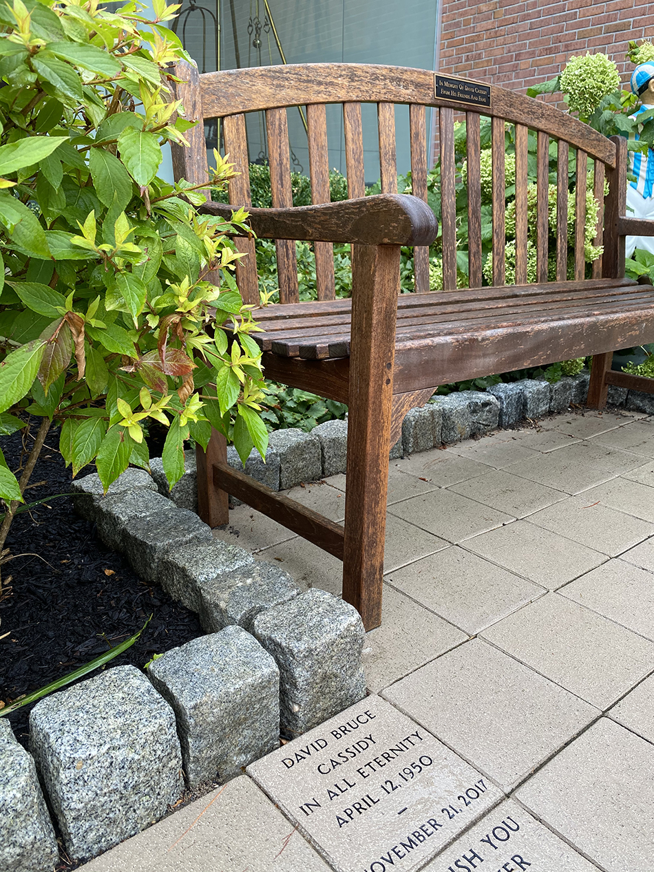 Memorial Bench