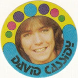 David Cassidy Fabric Sticker