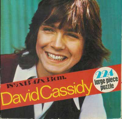 David Cassidy Jigsaw Puzzle