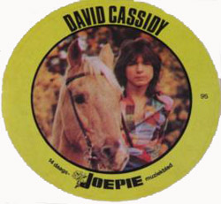 "I Love David Cassidy"