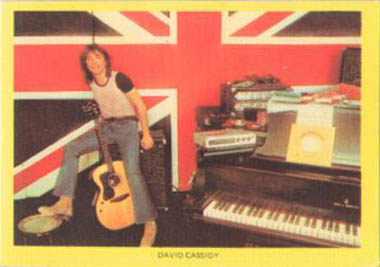 David Cassidy Sticker