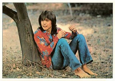 David Cassidy Sticker