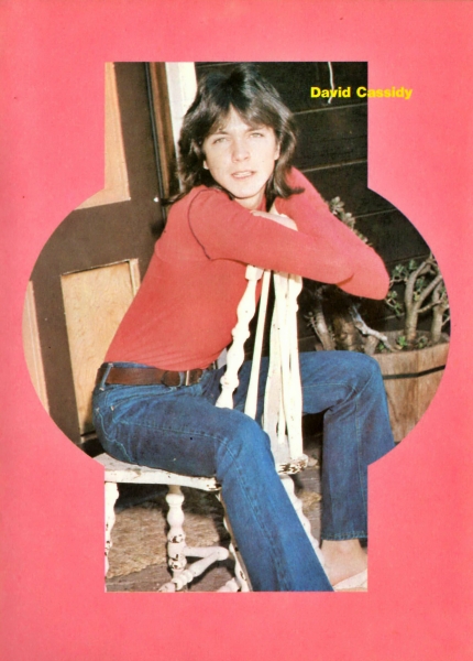 Popswop Annual 1974