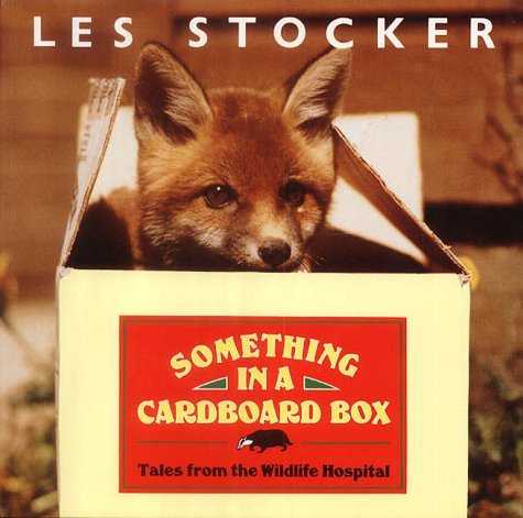 Something in a Cardboard Box Cover