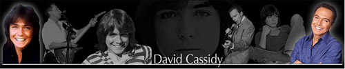 Banner from Newsletter and new website