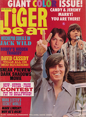 Tiger Beat Magazine