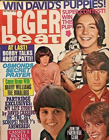 Tiger Beat 