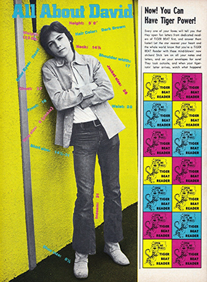 Tiger Beat July 1970