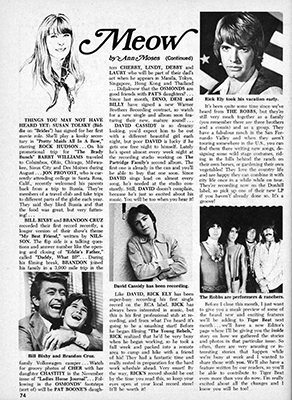 Tiger Beat November 1970