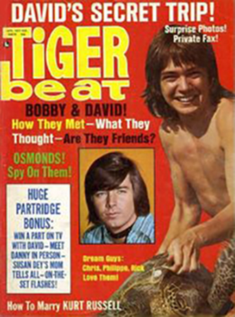 Tiger Beat 