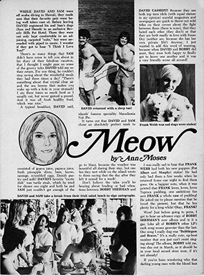 Tiger Beat April 1971