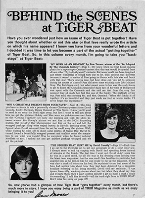 Tiger Beat December 1971