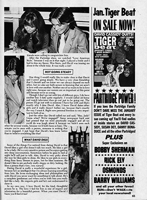 Tiger Beat Spectacular February 1971