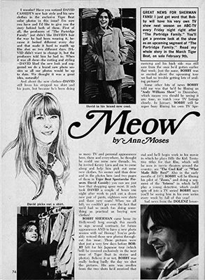 Tiger Beat February 1971