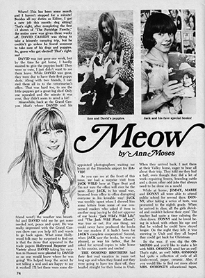 Tiger Beat January 1971